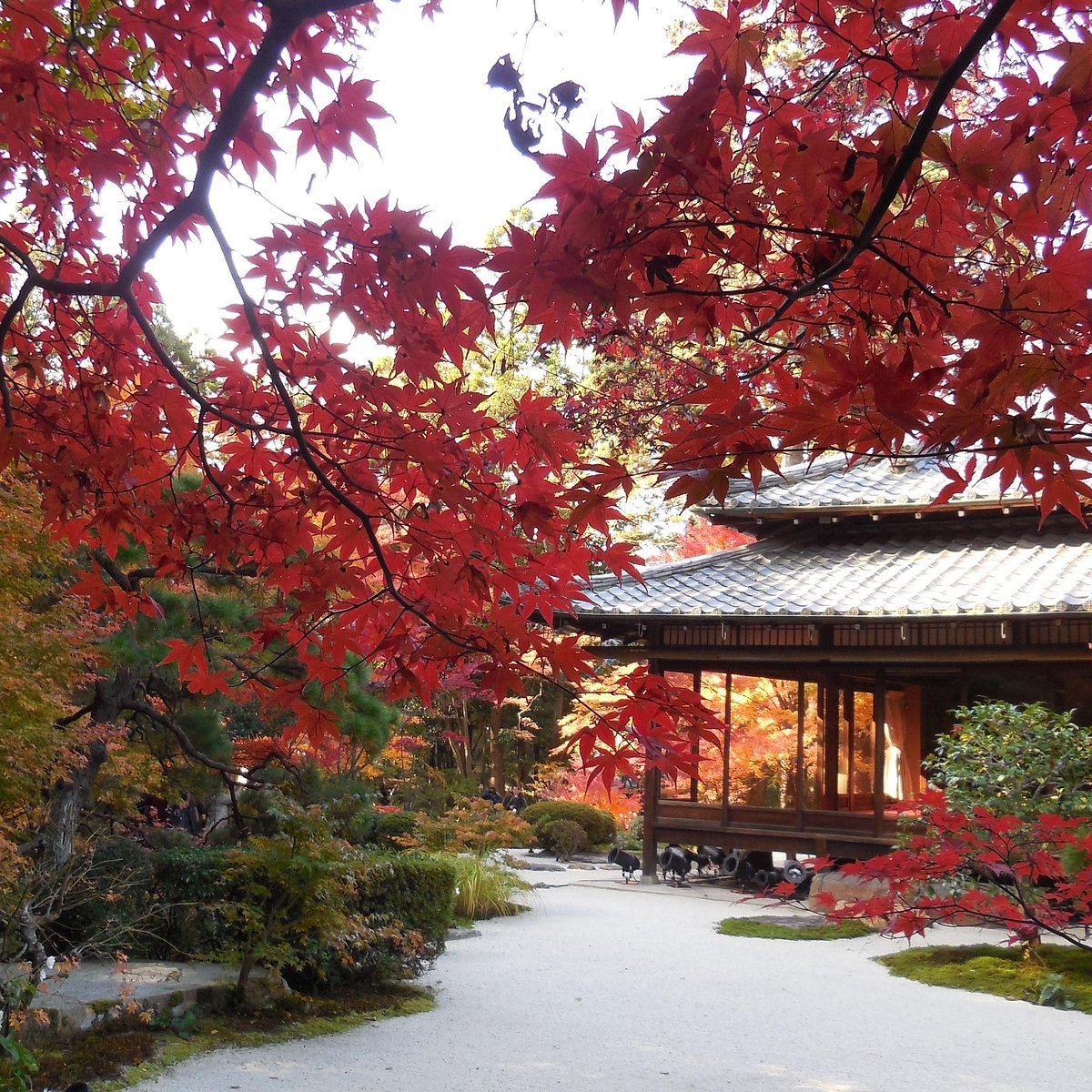 🏞️ 마야산 천상사(마야산 텐조지) 이미지 7